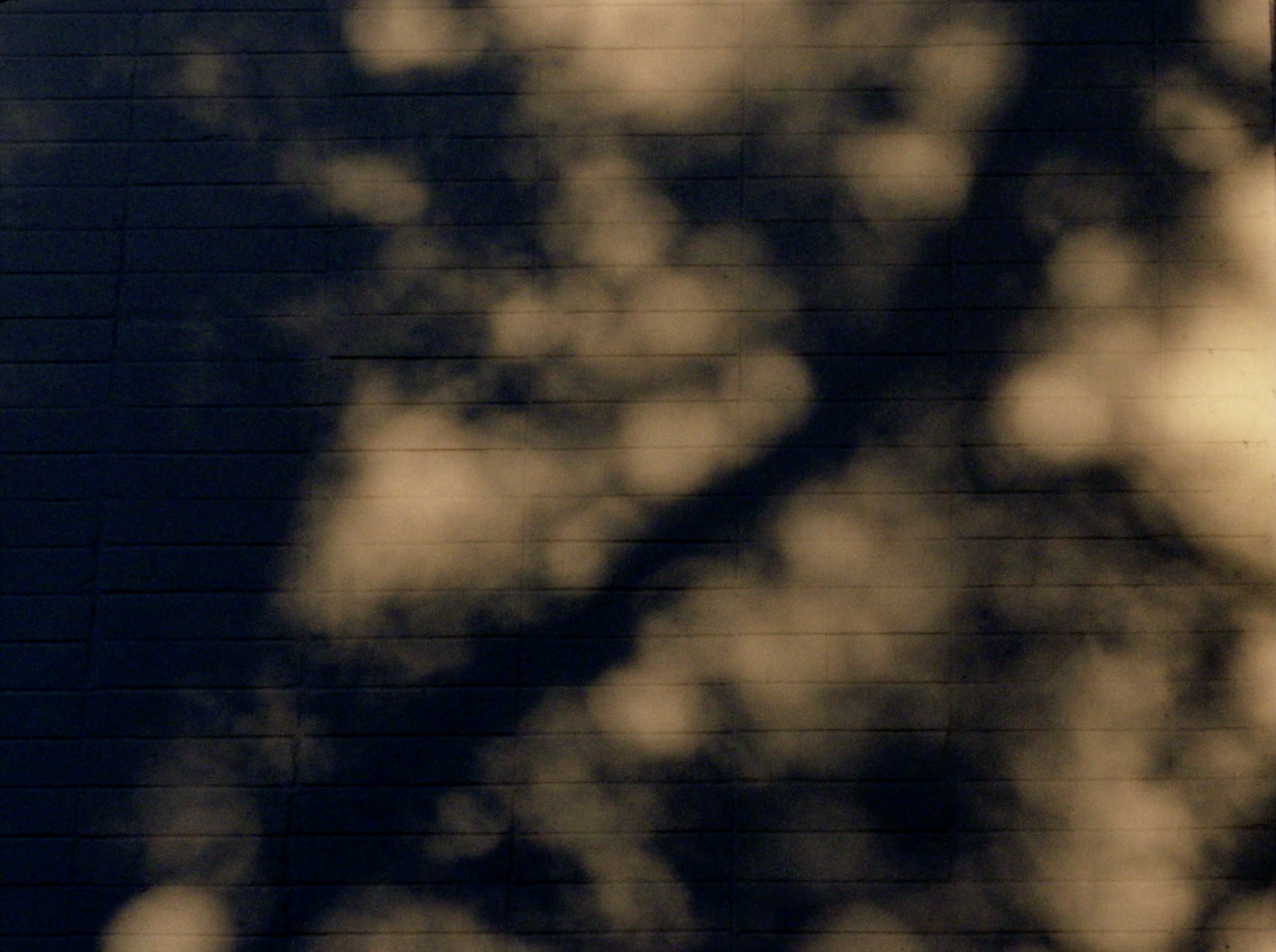 Spinoza's Rainbow still 3
